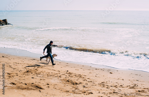 man playing with labrador dog on beach