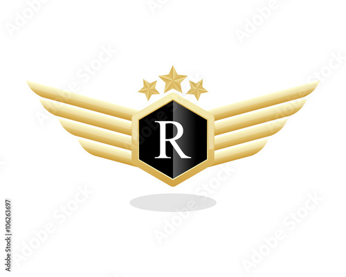 Ranger Star Wing