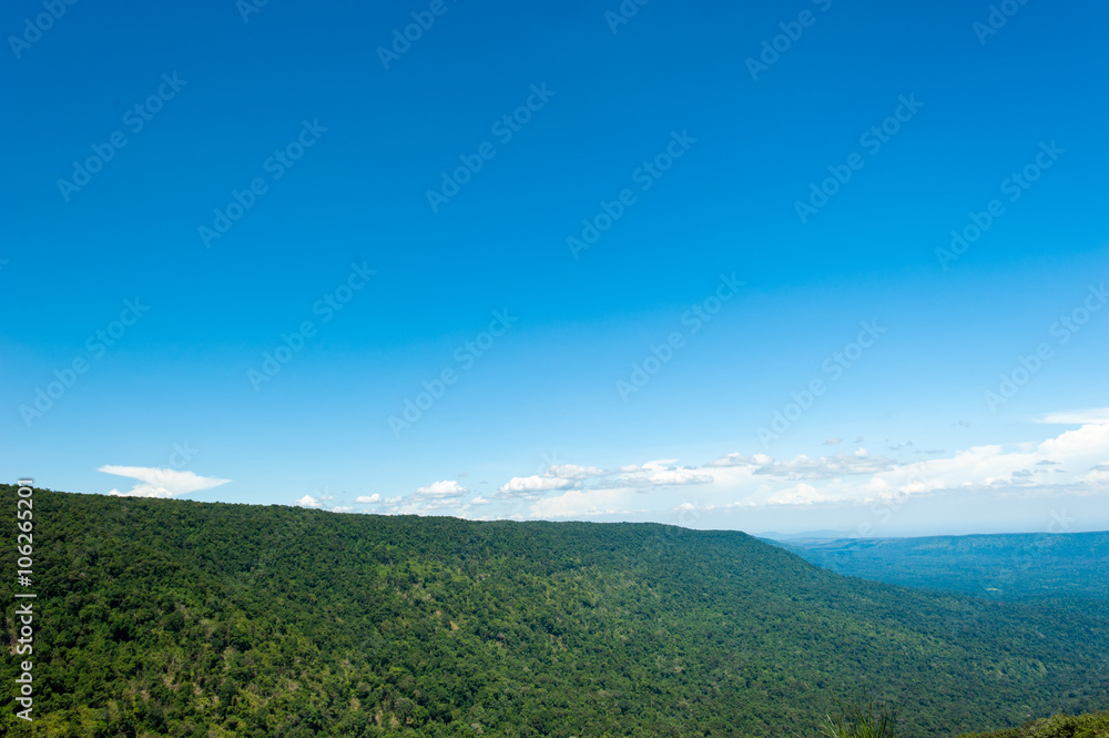 Fototapeta premium Hill Evergreen Forest,Khao Yai National Park Thailand