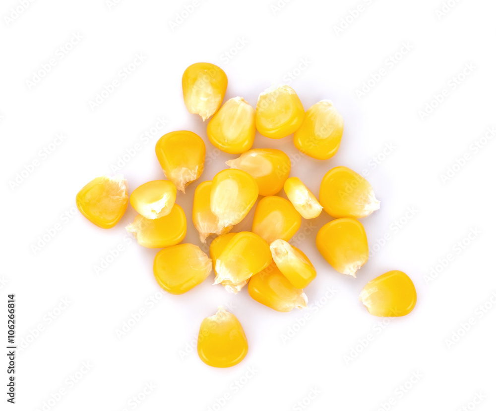 corn isolated on white background corn isolated on white background