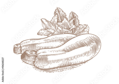 Marrow squash with flowers and leaves