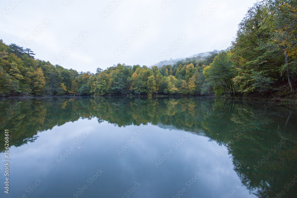 autumn landscape in (seven lakes) Yedigoller Park Bolu, Turkey