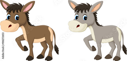 Fotografia Funny donkey cartoon