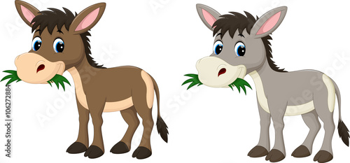 Funny donkey eating grass