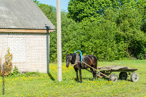 countryside buildings in summer with horse