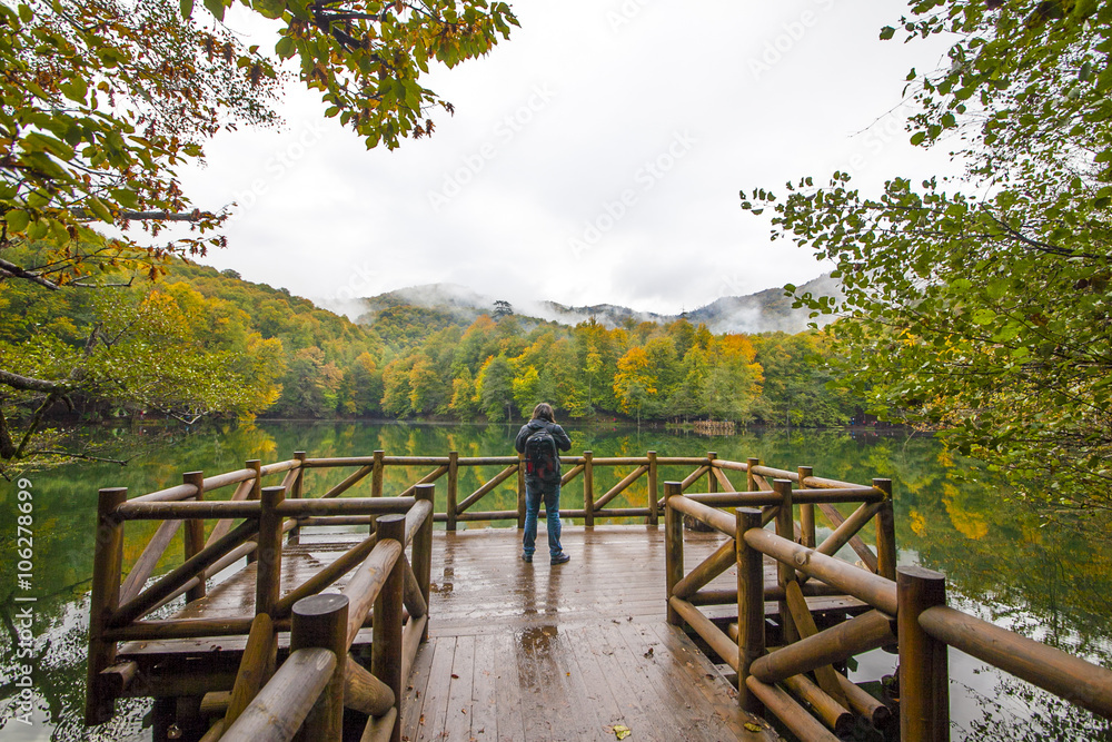 autumn landscape in (seven lakes) Yedigoller Park Bolu, Turkey