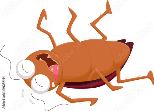 Cartoon dead cockroach