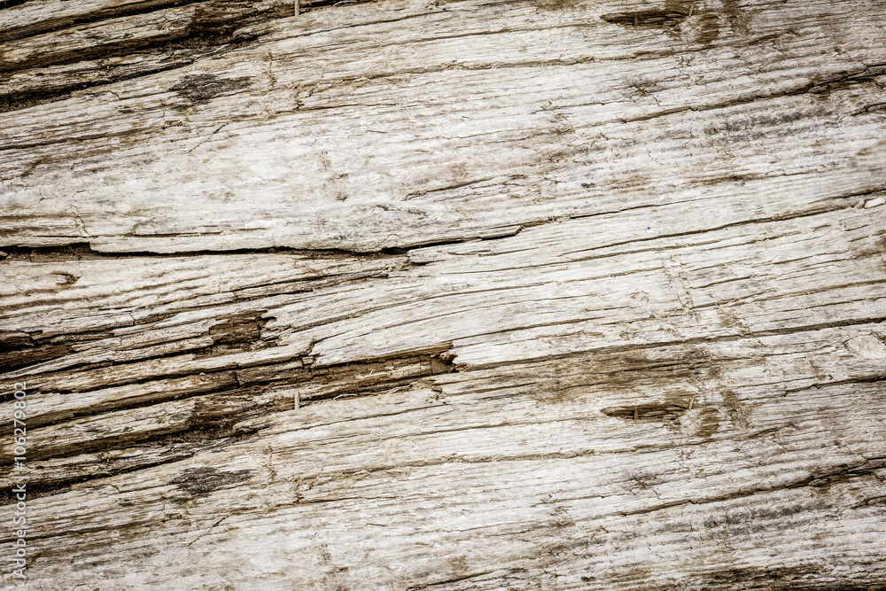 Wood texture form Wood texture form