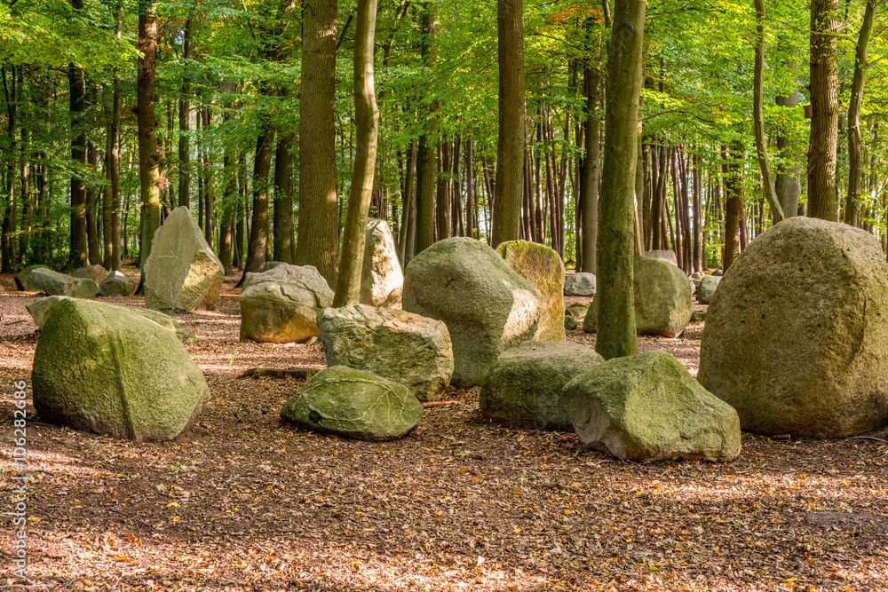 Findlinge im Wald StockFoto Adobe Stock