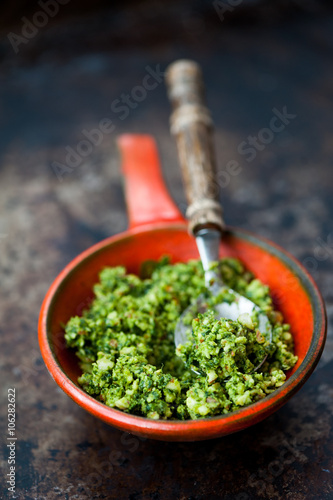 Fresh homemade wild garlic pesto