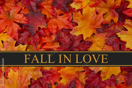 Fall In Love Message