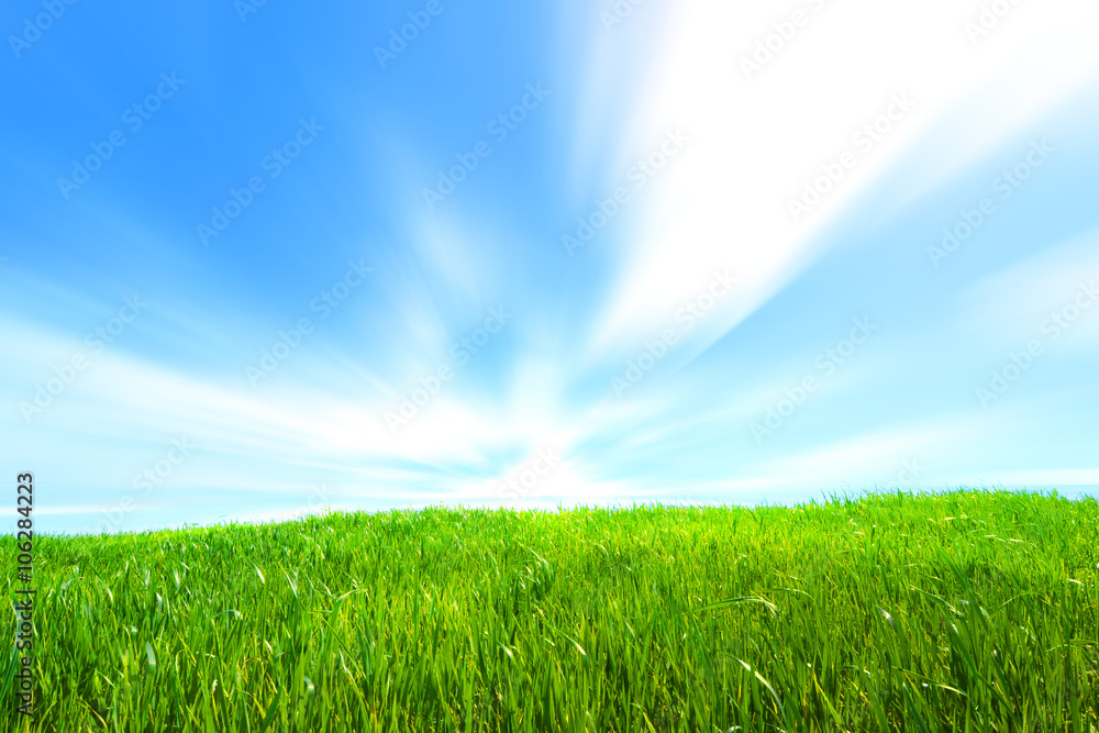 Obraz premium Collina primaverile di erba verde e cielo azzurro
