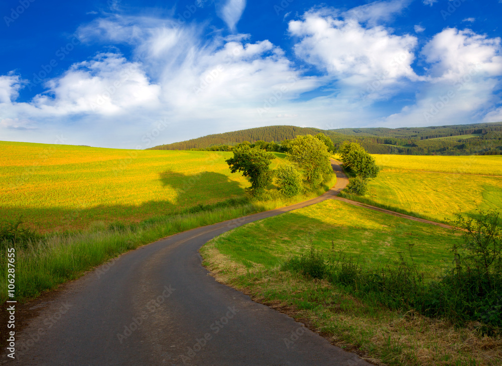 Obraz premium Summer landscape with field and clouds.
