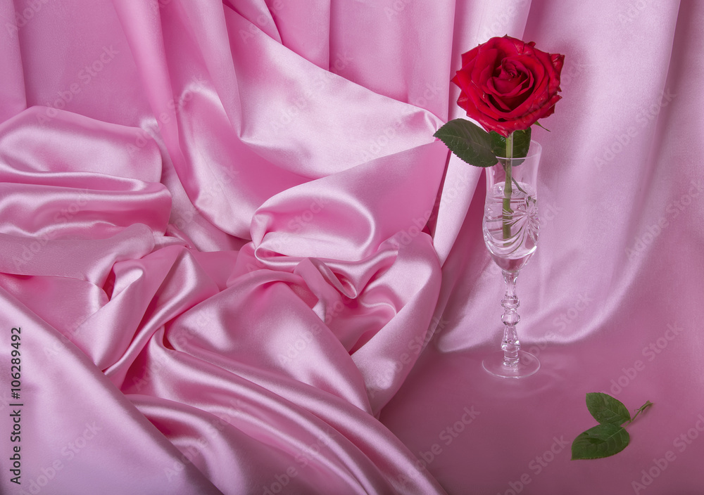 red rose on the pink satin