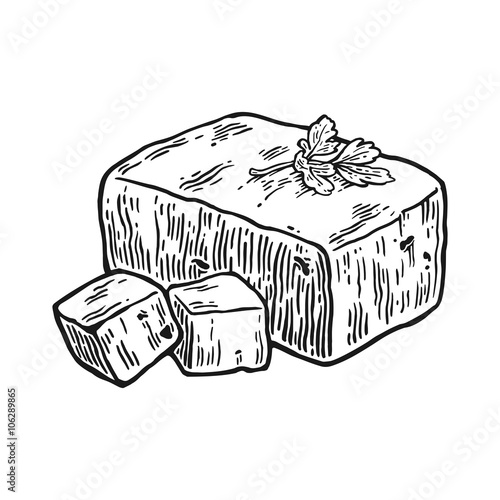 Tofu. Vector black vintage engraved illustration isolated on white background.