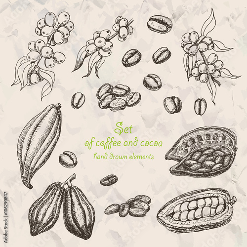 Set of coffee and cocoa in sketch style
