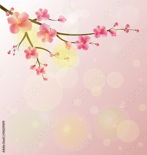 Watercolor sakura frame. Background with blossom cherry tree branches. Hand drawn japanese flowers on white background.