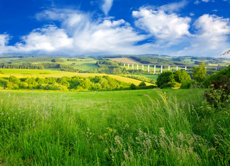Fotobehang Zomer Groen grasveld onder wolkenlucht  © Swetlana Wall