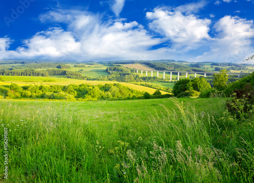 Summer landscape with green grass and clouds.