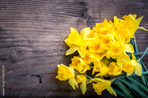 Bunch of yellow daffodils with blossom Fototapet