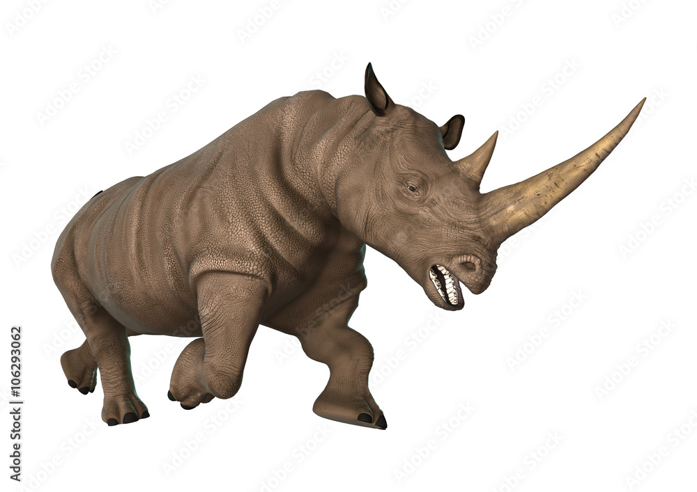 3D Illustration Rhinoceros on White 3D Illustration Rhinoceros on White