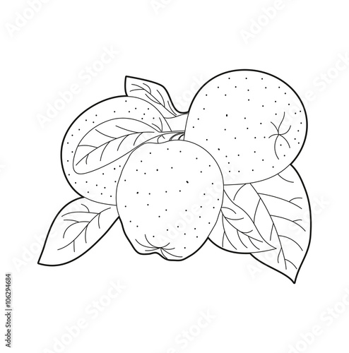 Set of apples vector, set di mele in bianco e nero vettoriali