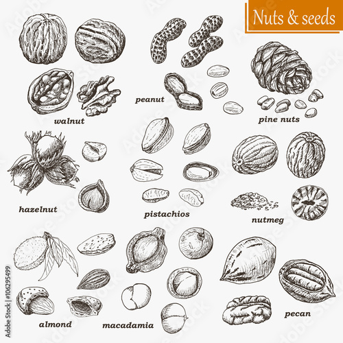 Collection of nuts and seeds