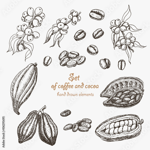 Set of coffee and cocoa in sketch style