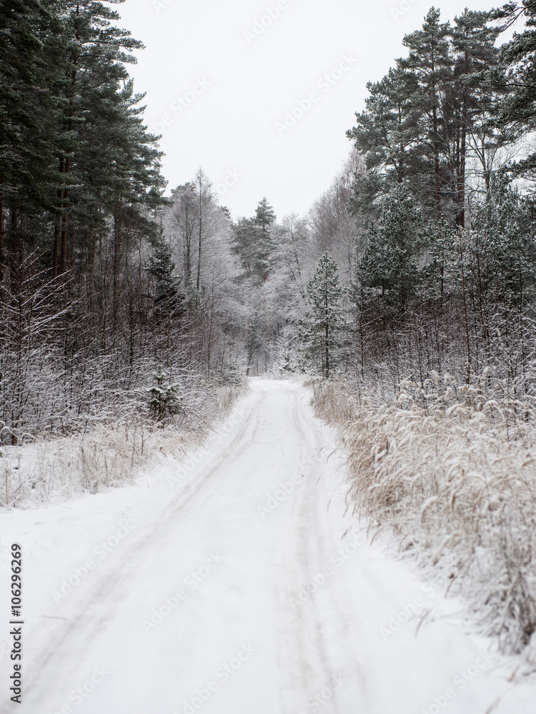 Fototapeta premium empty road in the countryside in winter