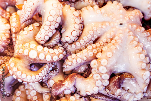 octopuses in market