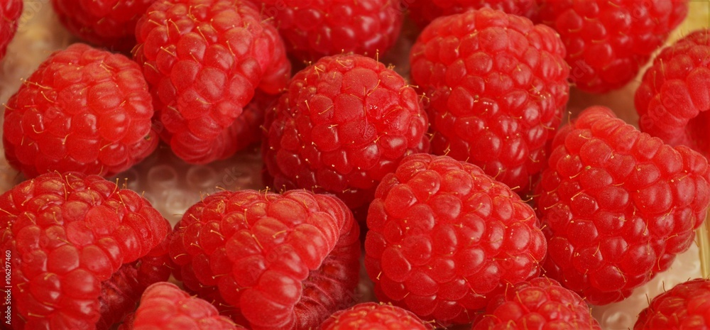fresh raspberries ripe and juicy fresh raspberries ripe and juicy