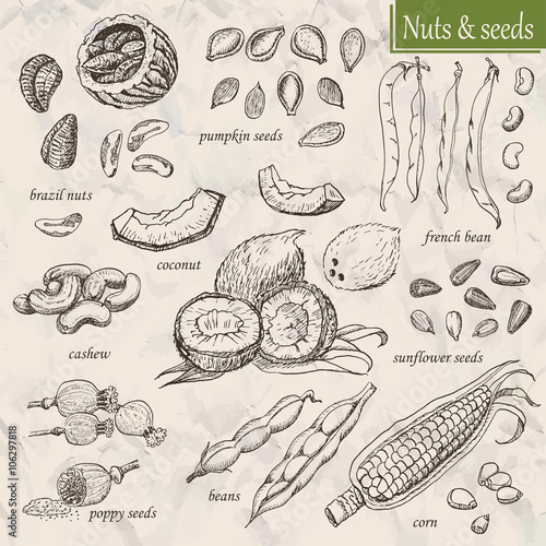 Collection of nuts and seeds