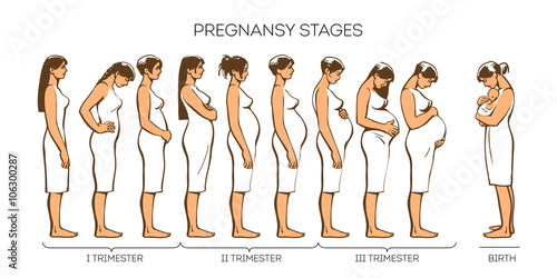 Stages of pregnancy. Vector image of stages of pregnancy. Pregnant woman. Motherhood. Trimester of pregnancy. Nine months of pregnancy. Image of different pregnant women. color illustrations