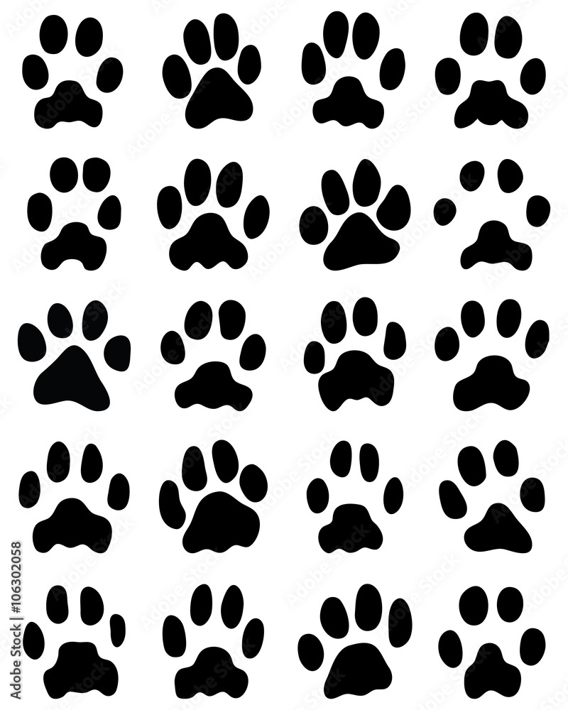 Black print of cats paws on white background, vector Black print of cats paws on white background, vector