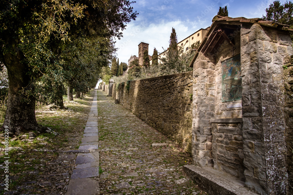 Cortona, Tuscany, Italy, 12th-16th century