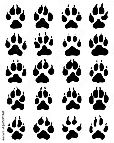 Black print of dogs paws on white background, vector