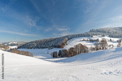 Winter im Schwarzwald © azureus70