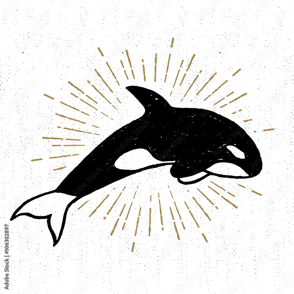Naklejka premium Hand drawn textured icon with killer whale vector illustration
