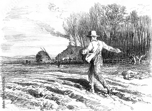 Seed on the fly, vintage engraving.