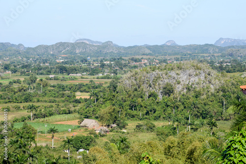 Panoramic view over landscape with mogotes in Vinales Valley