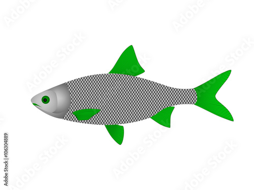 A silver fish in a vector on a white background.Fish vector illustration.	