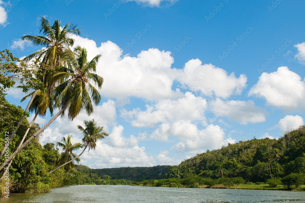 Tropical river Chavon in Dominican Republic