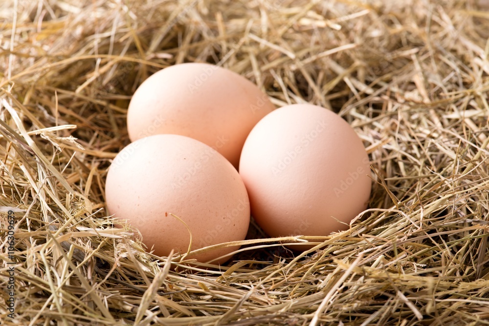 Few hen eggs placed on haystack Few hen eggs placed on haystack