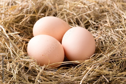 Few hen eggs placed on haystack