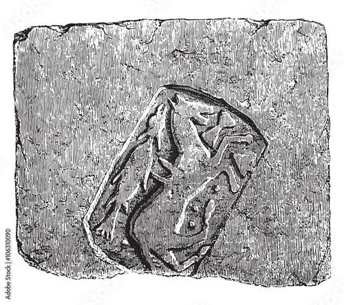 Fireclay tile very hard, found in excavations of the abbey of Sa