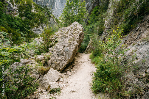 Beautiful Trail, Path, Way, Mountain Road In Verdon Gorge In Fra