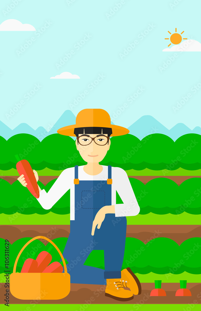 Farmer collecting carrots. Farmer collecting carrots.