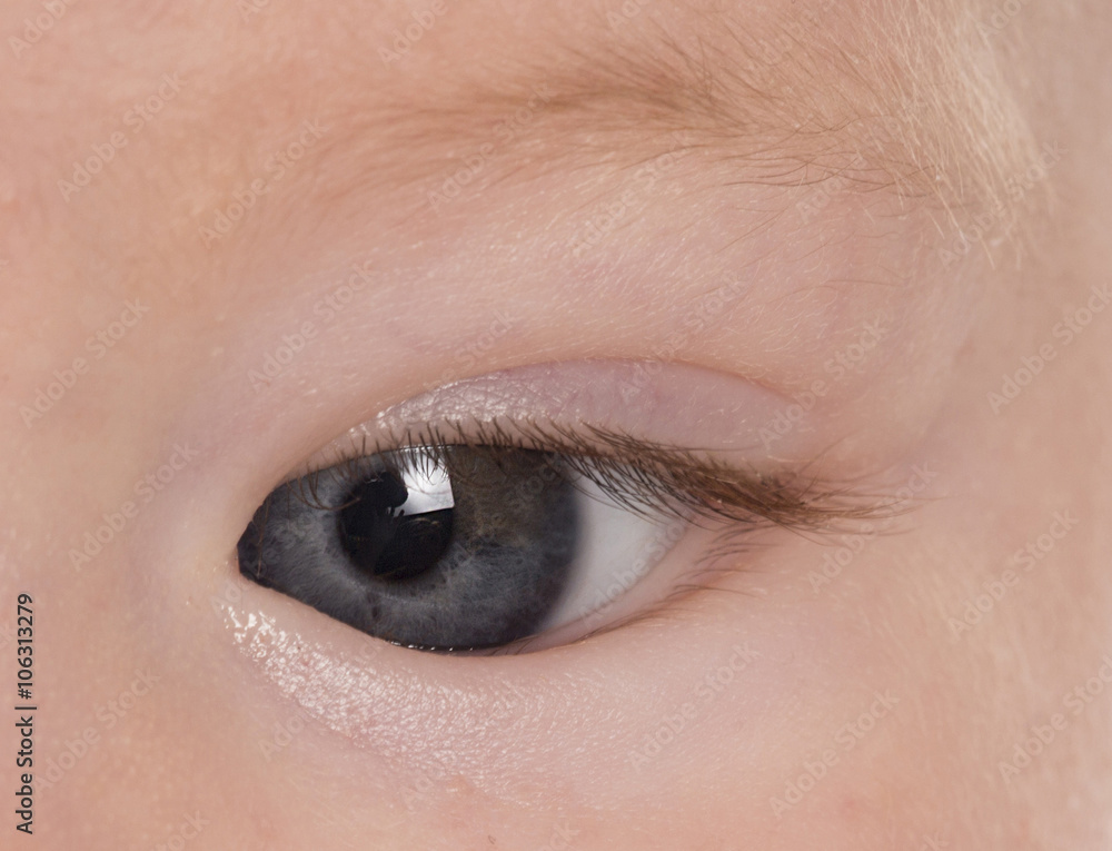 Obraz premium babies eye