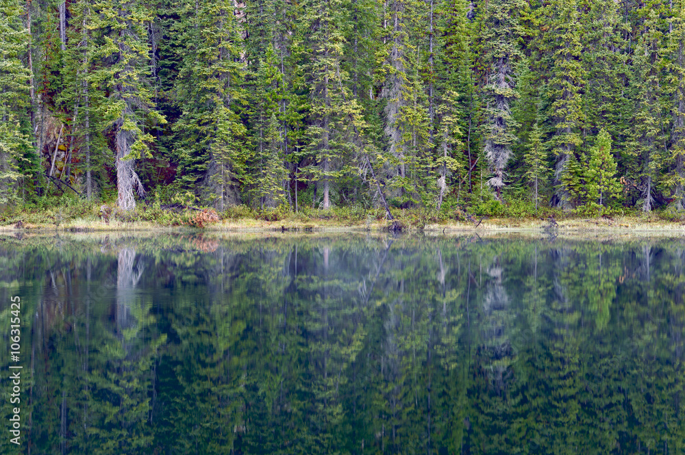 Reflection in unknown pond between Lake Herbert and Lake Louise Reflection in unknown pond between Lake Herbert and Lake Louise