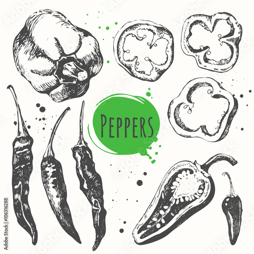 Murais de parede Sweet and hot peppers. Set of hand drawn vegetables.